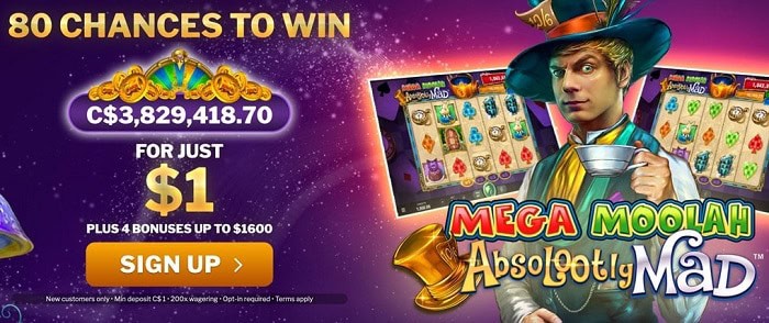 Absolootly Mad 80 free chances at JackpotCity