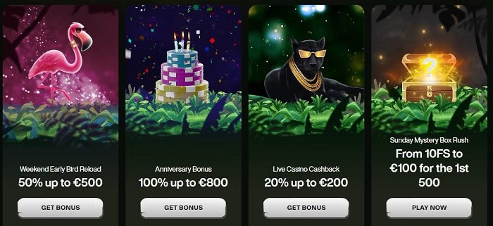 50 free spins bonus