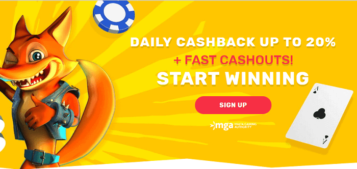 20% Daily Cashback 