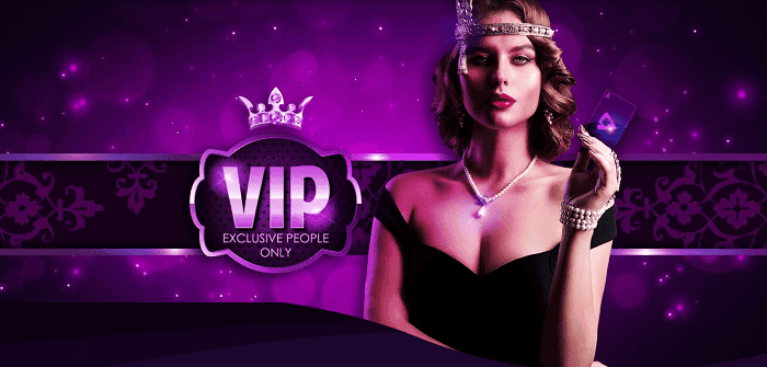 VIP Rewards and Loyalty Program 