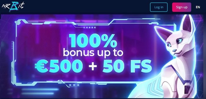 100% bonus and 50 Free Spins 