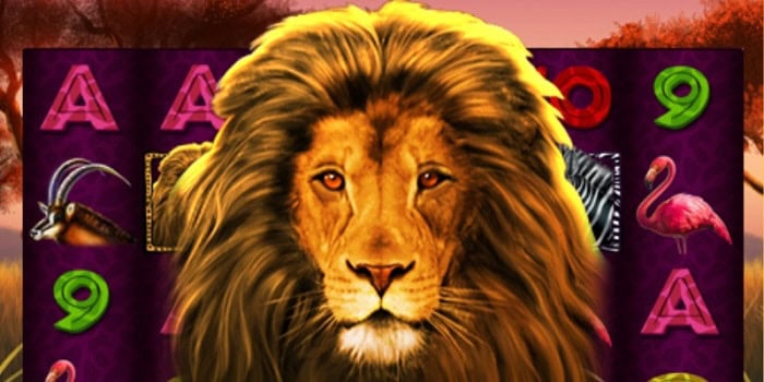 Wild Lion Slot free bonus 