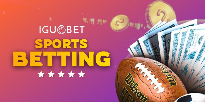 best bookie offers