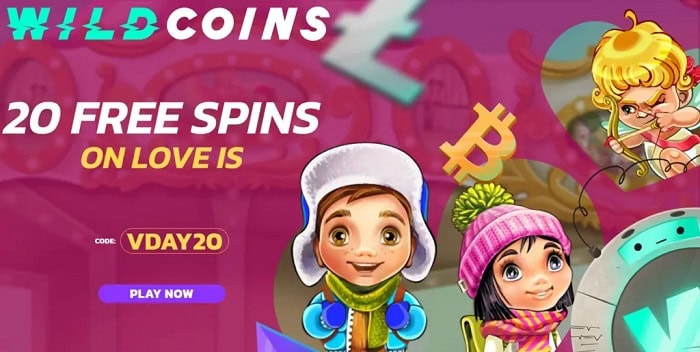 20 FS bonus code 