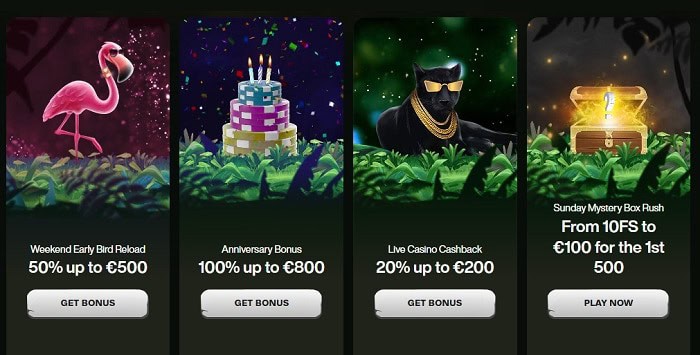 New Offers 