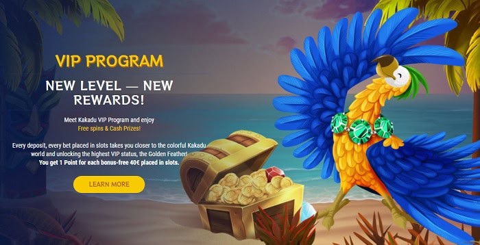 VIP Program and Loyalty Bonuses 