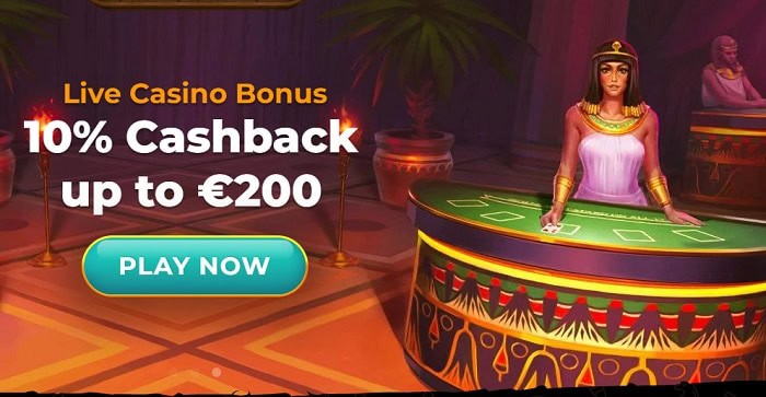 Daily Cashback Offer 