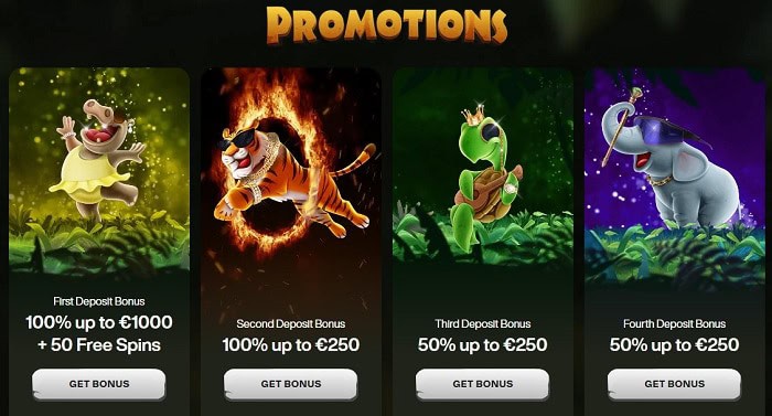 Check Latest Promotions 