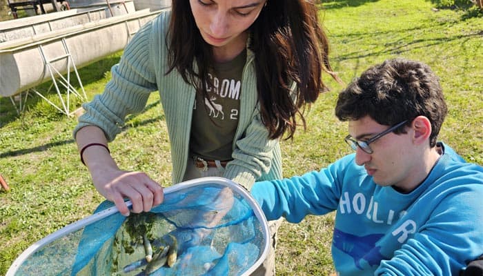 Control biológico de larvas de mosquitos
