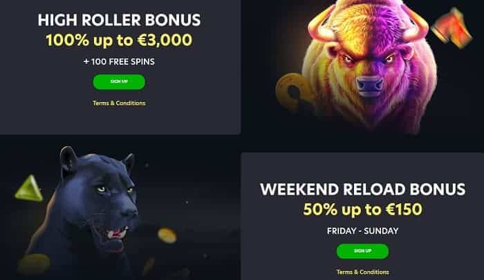 Reload and High Roller Bonus 