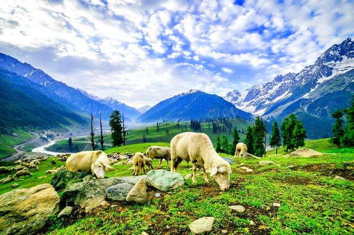 Kashmir, often referred to as "Paradise on Earth,