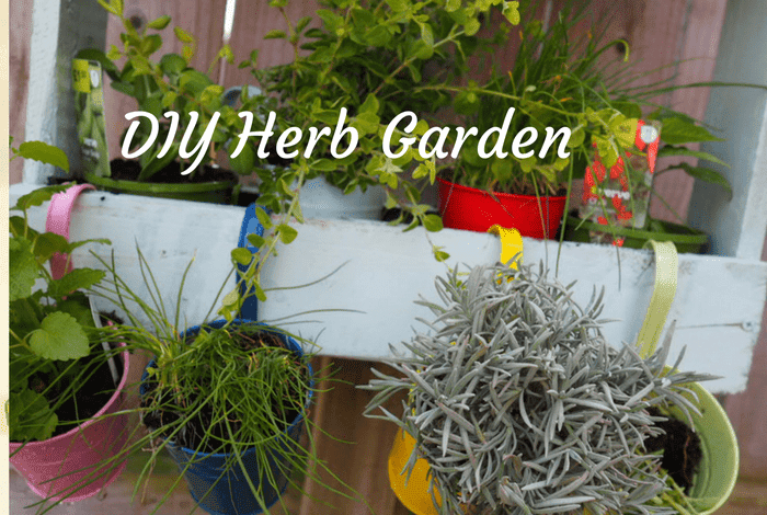 DIY Herb Garden