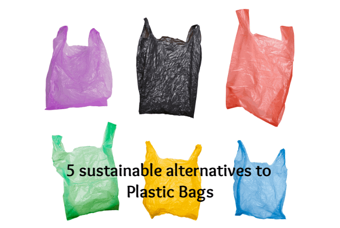 Five alternatives to plastic bags.