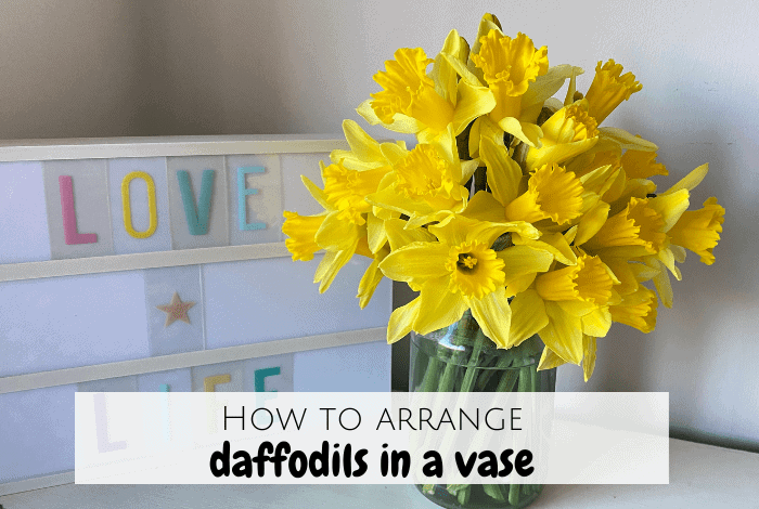 How to arrange daffodils in a vase