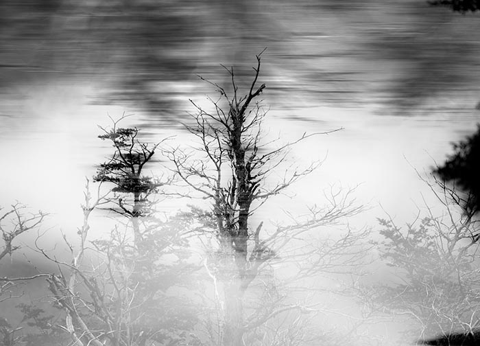 Fotografia Leonardo Majluf