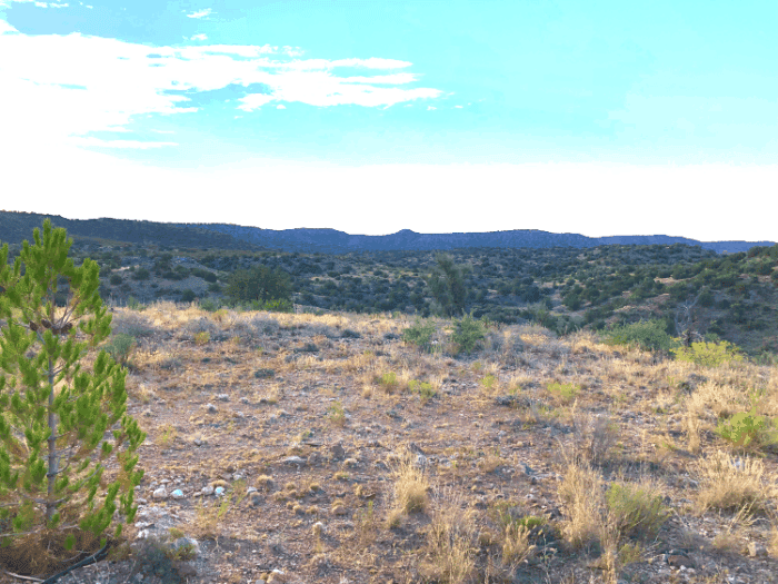 heydayDo pic - Southeast backyard view jul2019