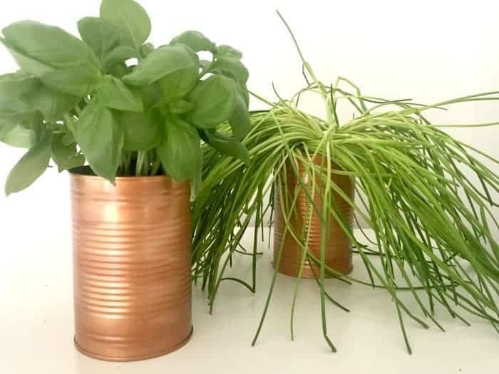 How to turn a tin can from the recycling pile into something pretty....