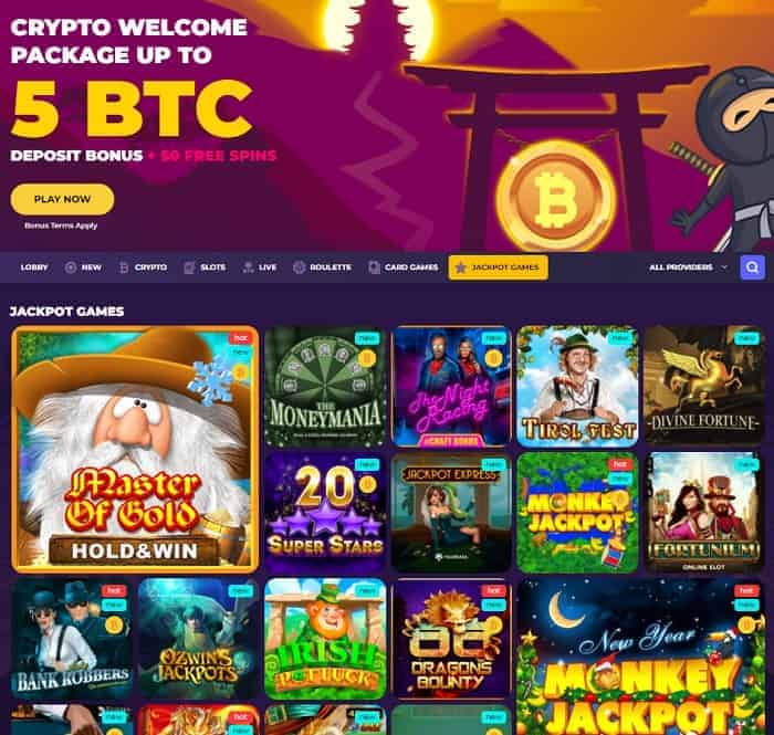 Enjoy Crypto Casino Bonus