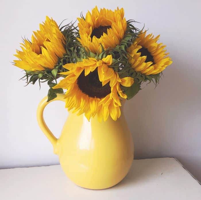 Sunflowers in a yellow jug