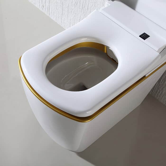 bidetry SX white bidet toilet suite interior