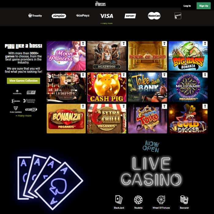 Visit the Casino Homepage