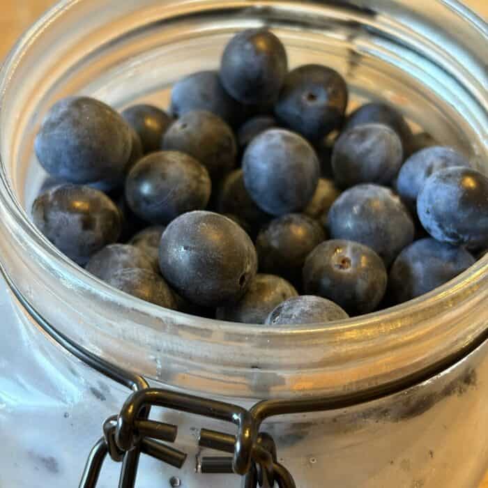 Sloe Berries