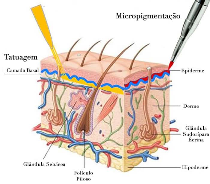 Diferença entre micropigmentação fio a fio e maquiagem definitiva