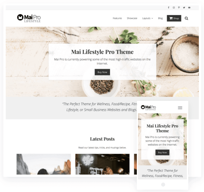 wordpress ecommerce themes