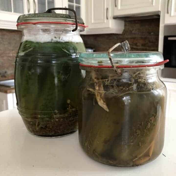 Polish 3-Day Pickles Ogorki Malosolne Recipe