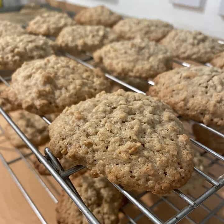 Basic oatmeal cookie recipe