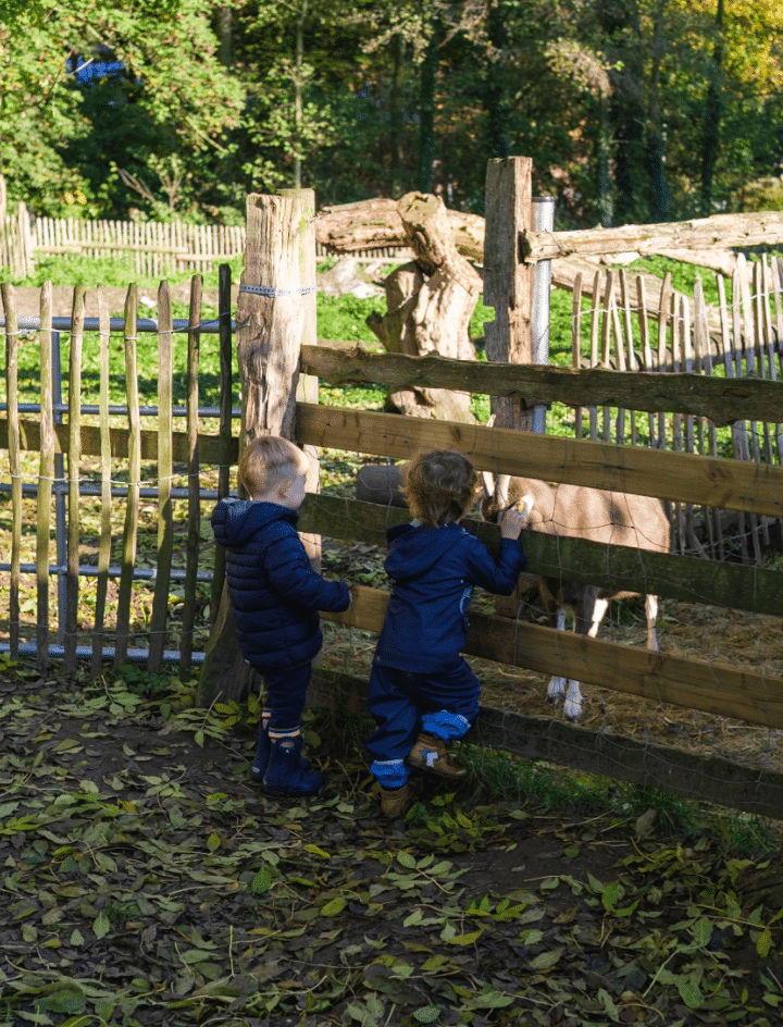 Tiere auf dem Kinderbauernhof Neuss aus nächster Nähe beobachten