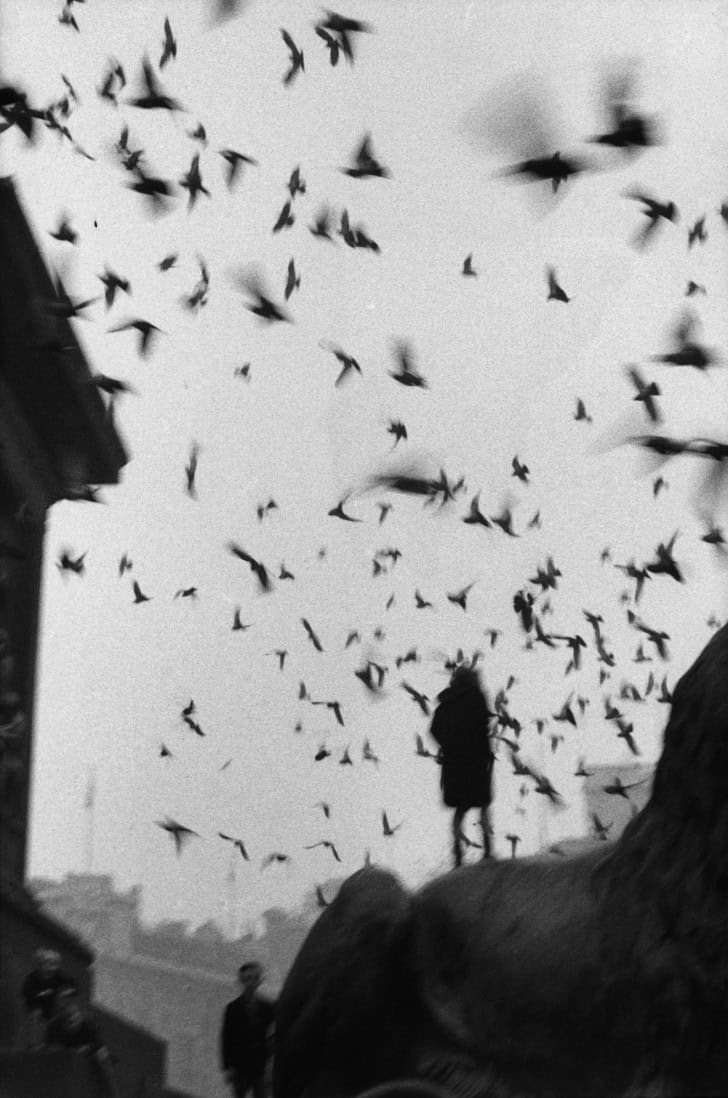 Sergio Larrain FHCB 5 e1411479306298 728x1098 1