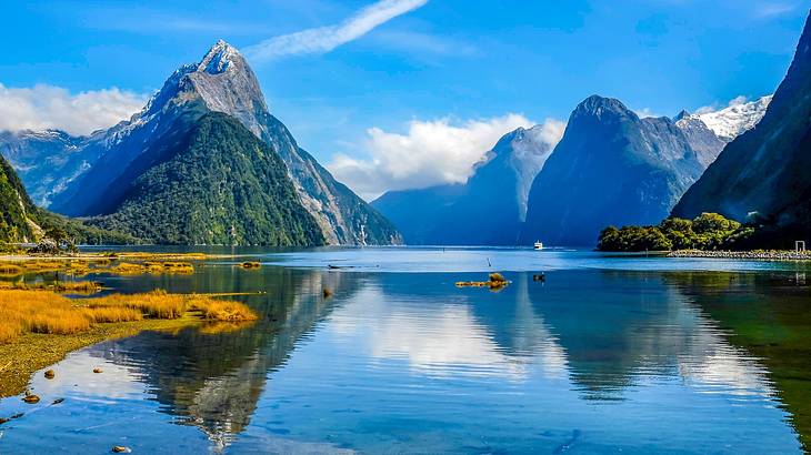 Milford Sound with mountains and clear blue water reflecting sky, New Zealand