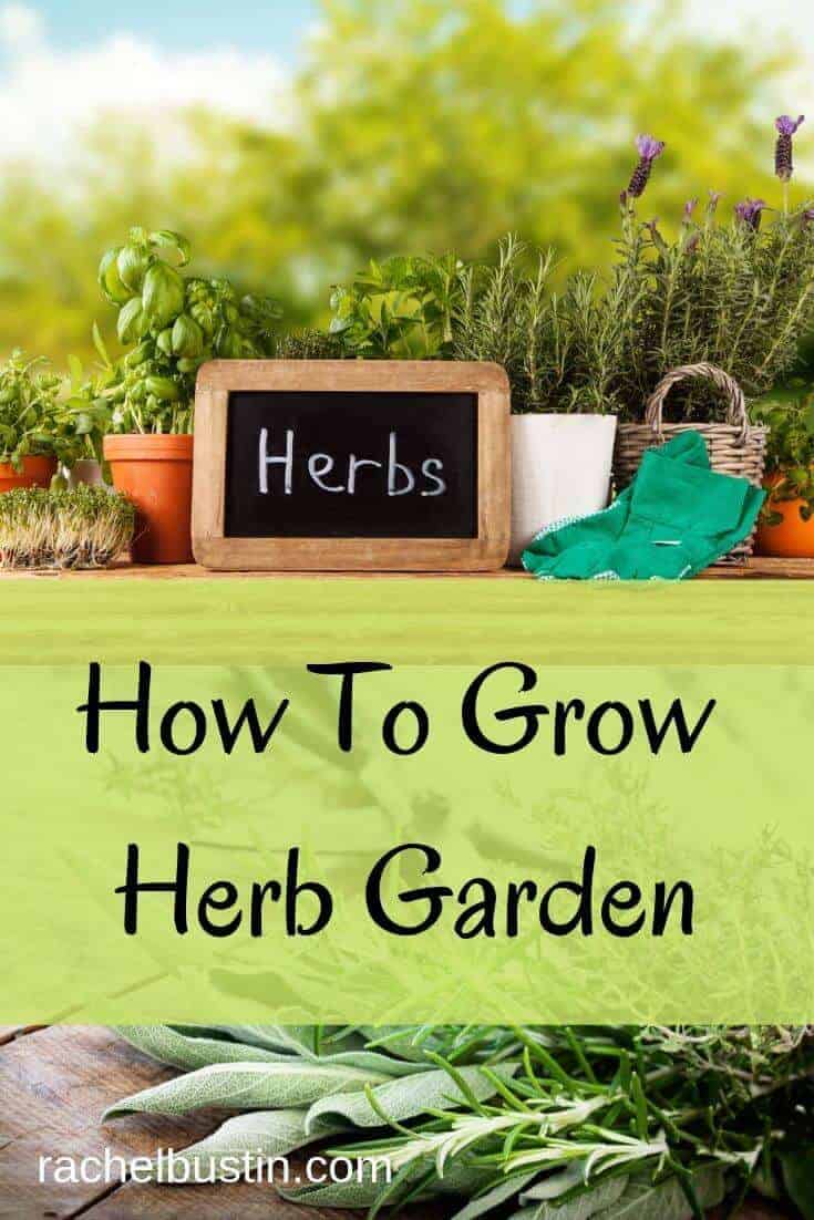 How To Grow a Herb Garden
