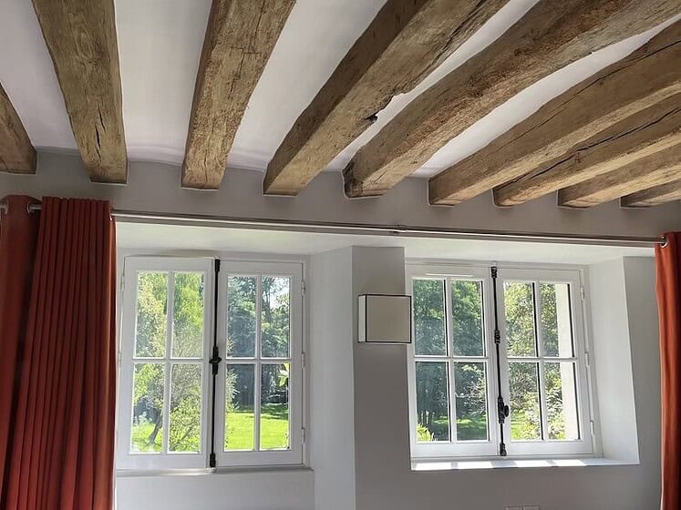 jardin verdure calme arbre