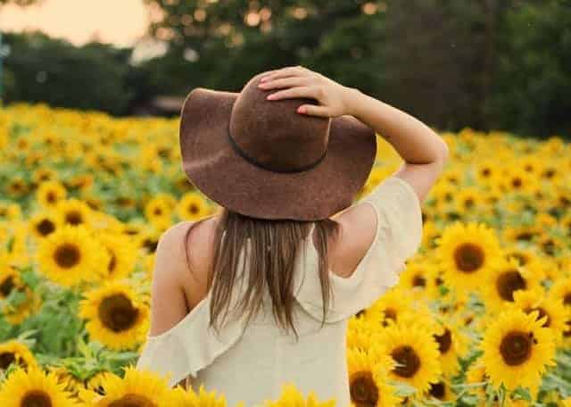 uma mulher caminha por um campo de girassóis