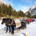 sled with horses in armentarola