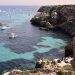 favignana cover
