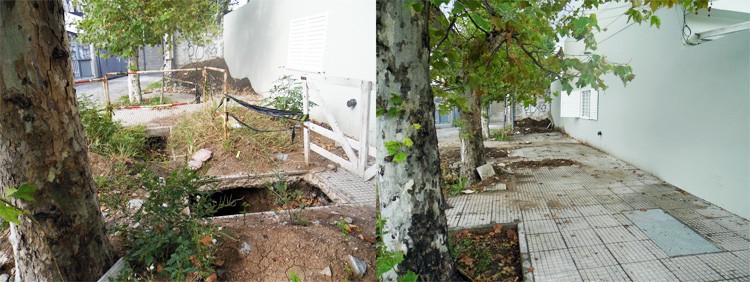 vereda-ladines-zamudio