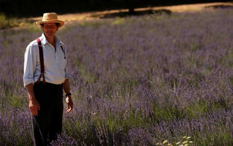 Su DoveTv arriva "Grandi giardini di Francia" con Monty Don | Digitale terrestre: Dtti.it