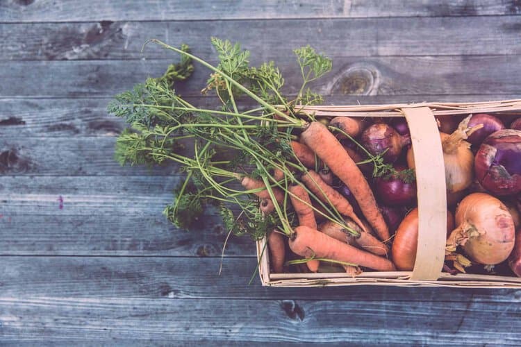Top Tips What To Grow In Winter Vegetable Garden Rachel Bustin