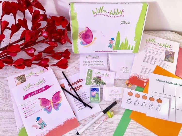 Willow & Wild Children's Subscription Box