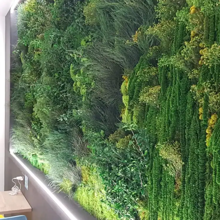 rénovation mur végétalisé Restaurant Smikies Bourg-en-bresse