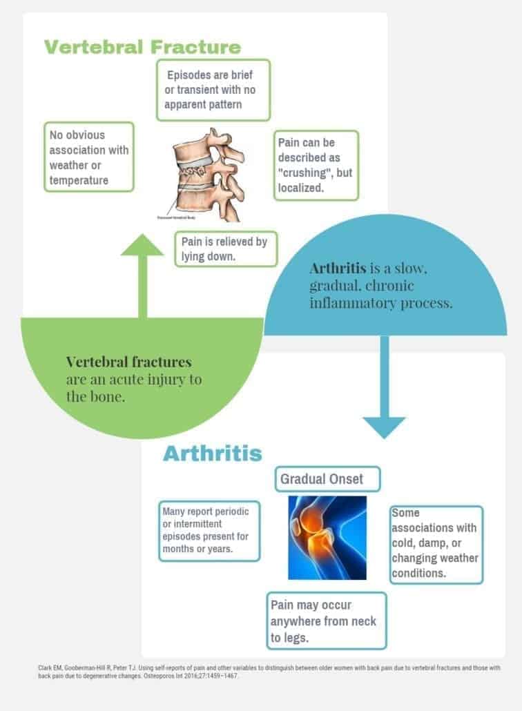 "Vertebral