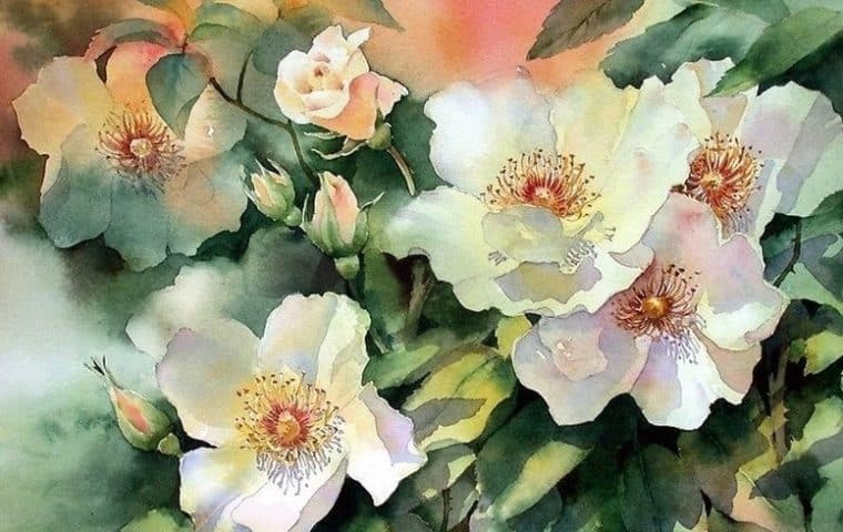 Основы акварели