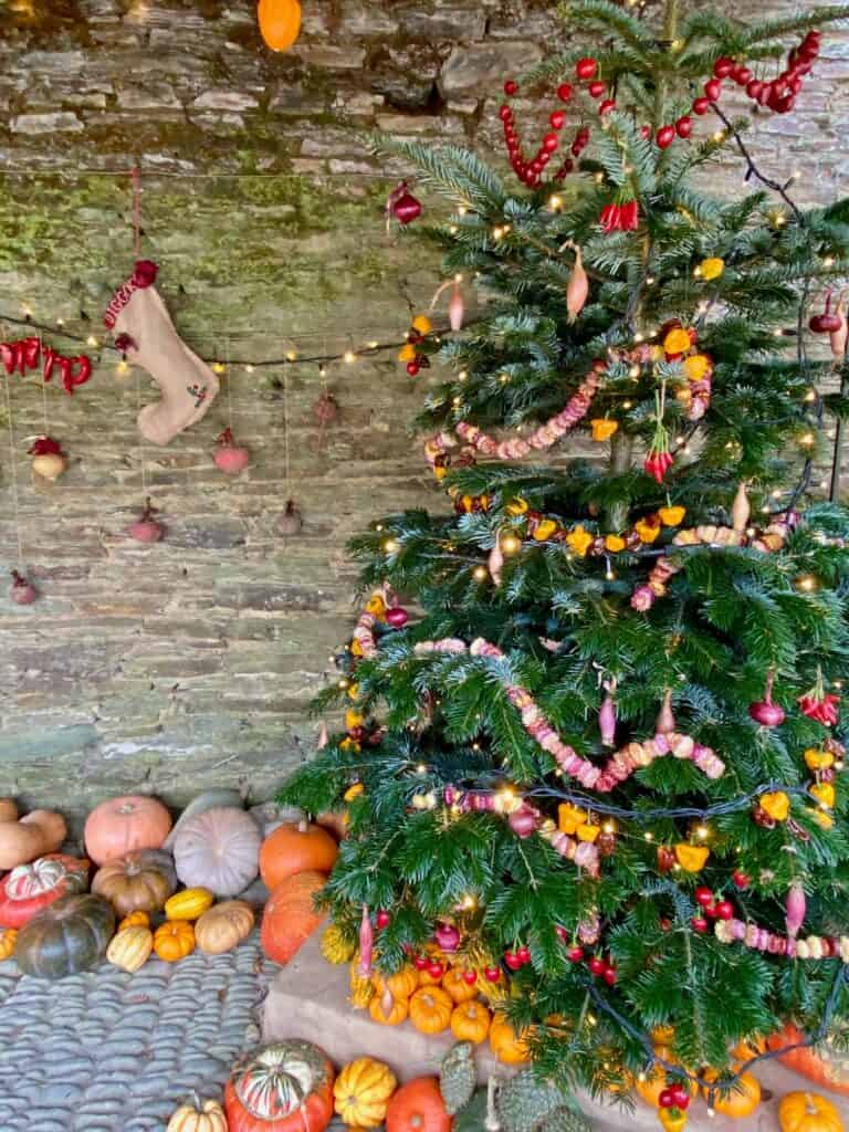 Christmas at Heligan