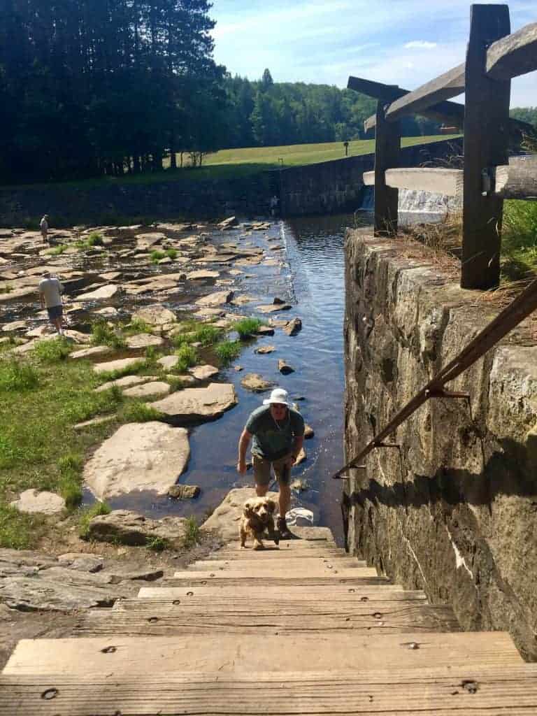 Parker Dam State Park Stepping Stones Franklin