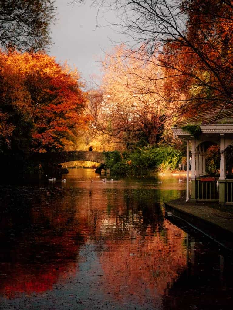 Stephens-green-pond-autumn-768x1024