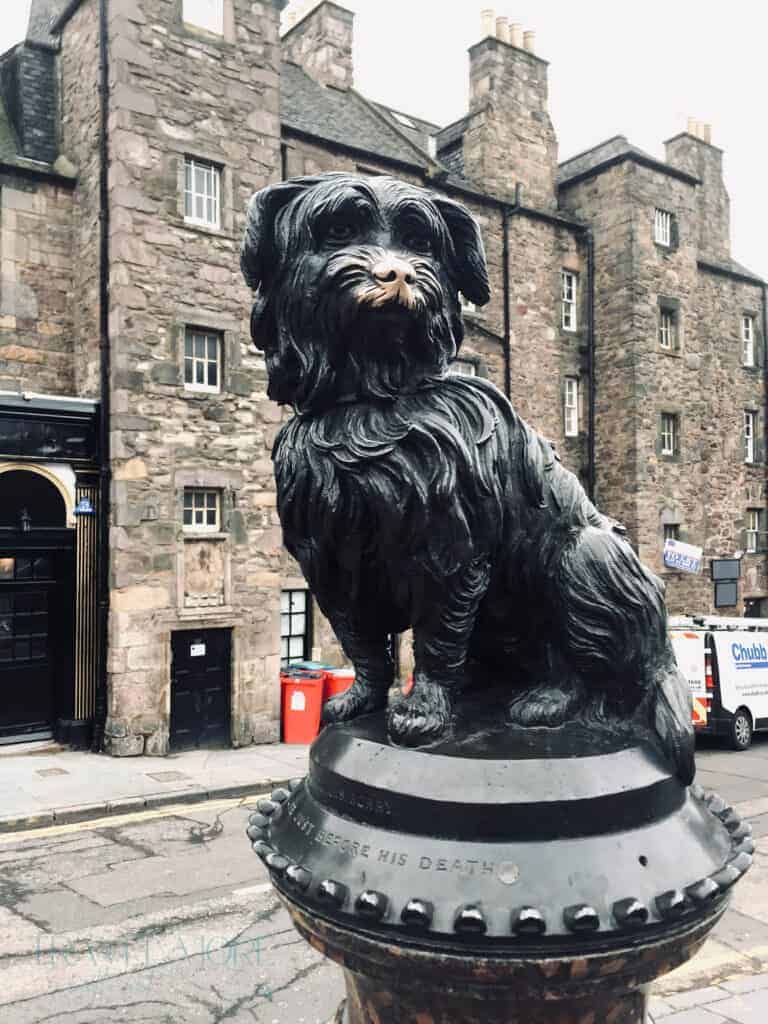 The blackened bronze statue of Greyfriar's Bobby dog sits on a plinth, in front of historic stone buildings in Edinburgh.