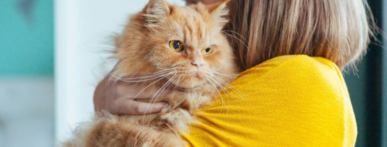 woman hugging red persian cat
